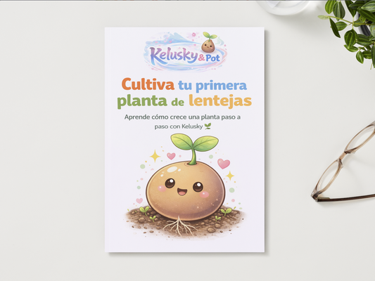 Guía educativa imprimible (PDF)