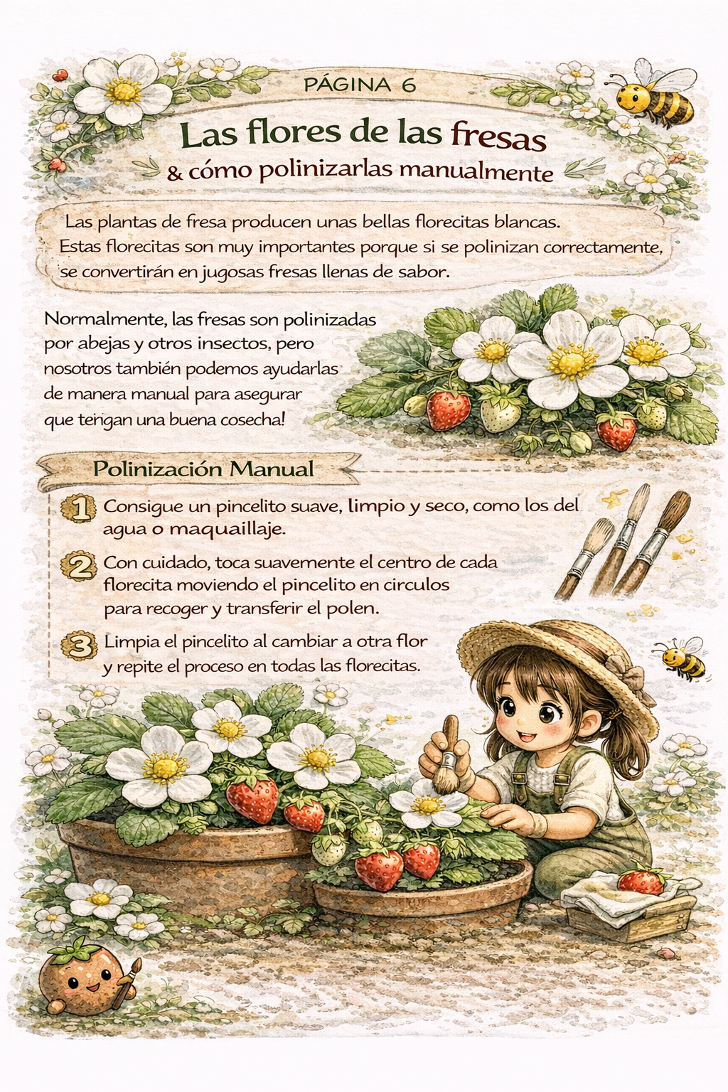🍓 Guía educativa:  "De Semilla a Fresa" – Kelusky & Pot