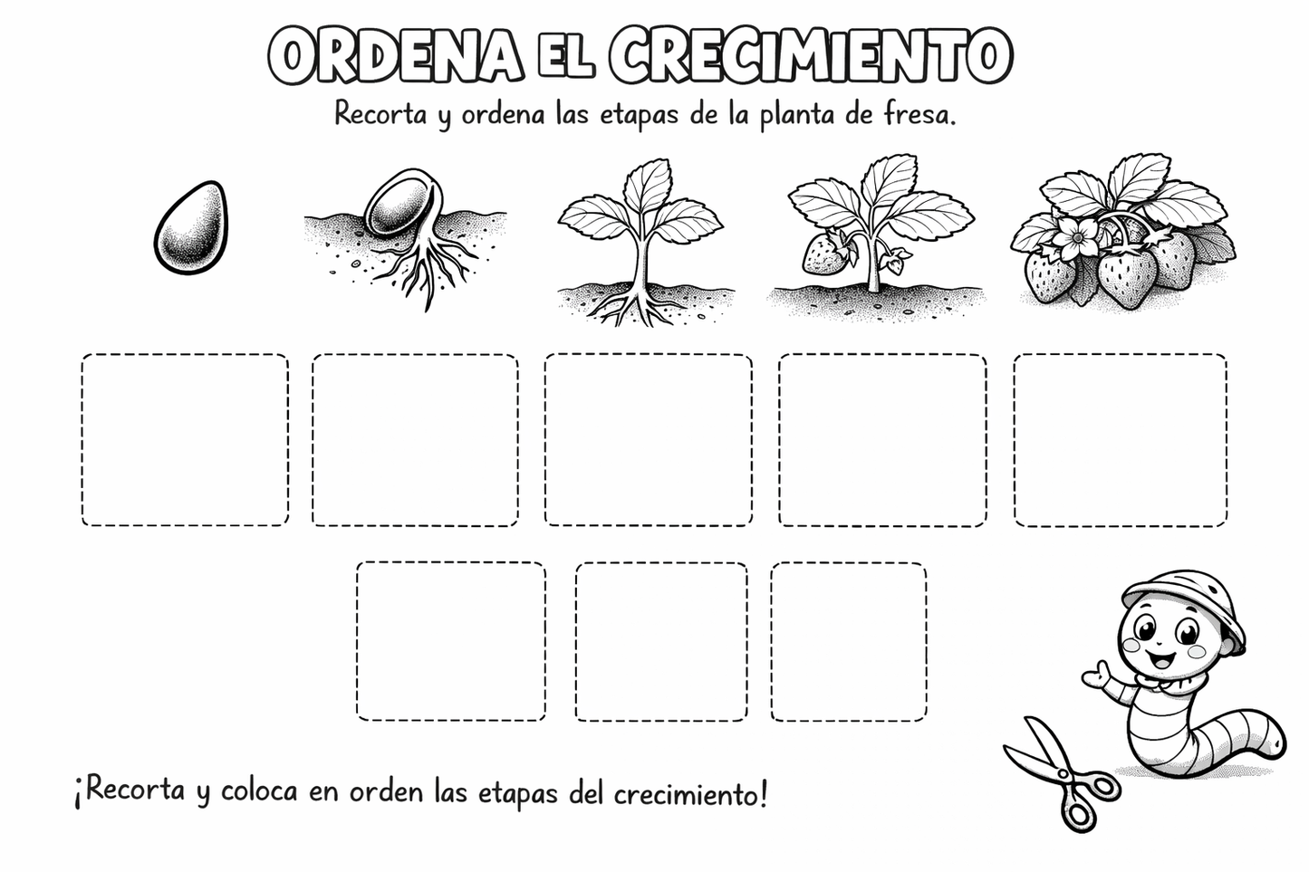 🍓 Guía educativa:  "De Semilla a Fresa" – Kelusky & Pot