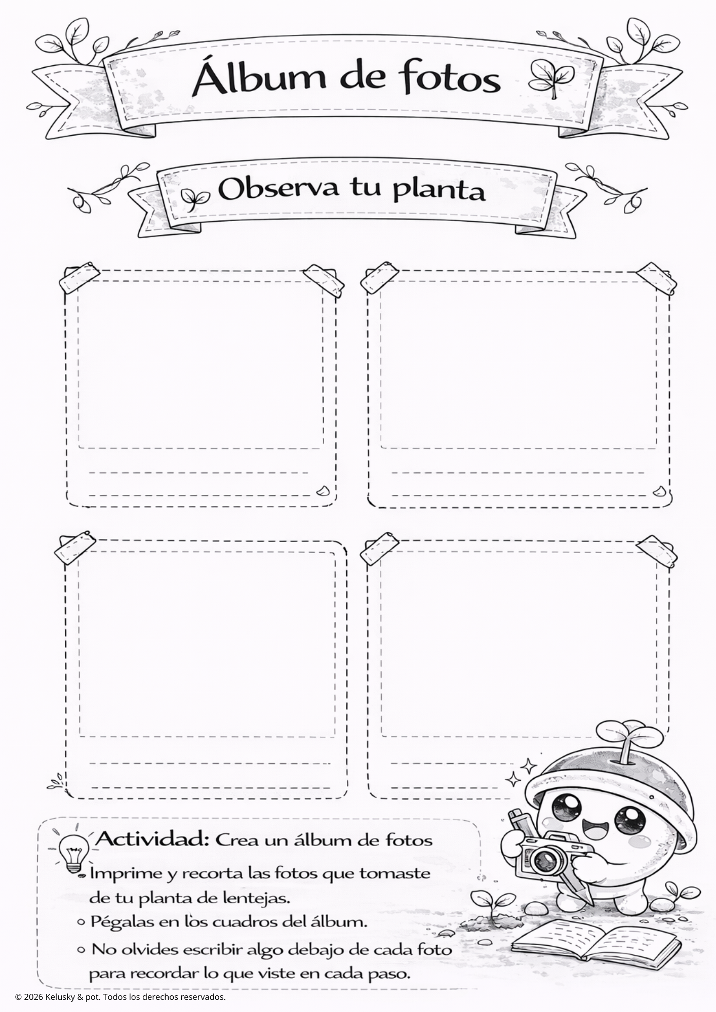 Guía educativa: Cultiva tu primera planta de lentejas 🌱 – Kelusky & Pot